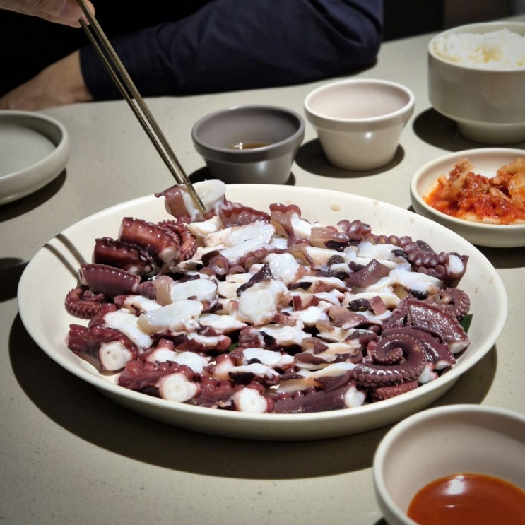  청담동 맛집 문어요리 전문 레스토랑 옥토퍼스978