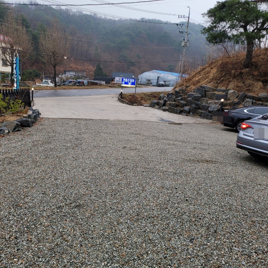 천등산장어 사진 3