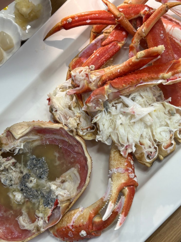  영등포 대게 맛집 오태호킹크랩 제철 싯가 시세 해물라면