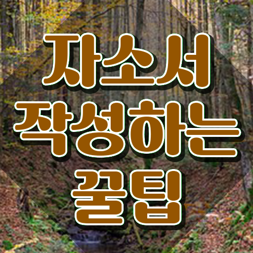  자기소개서첨삭추천 , 자기소개서지도사 합격한 팁