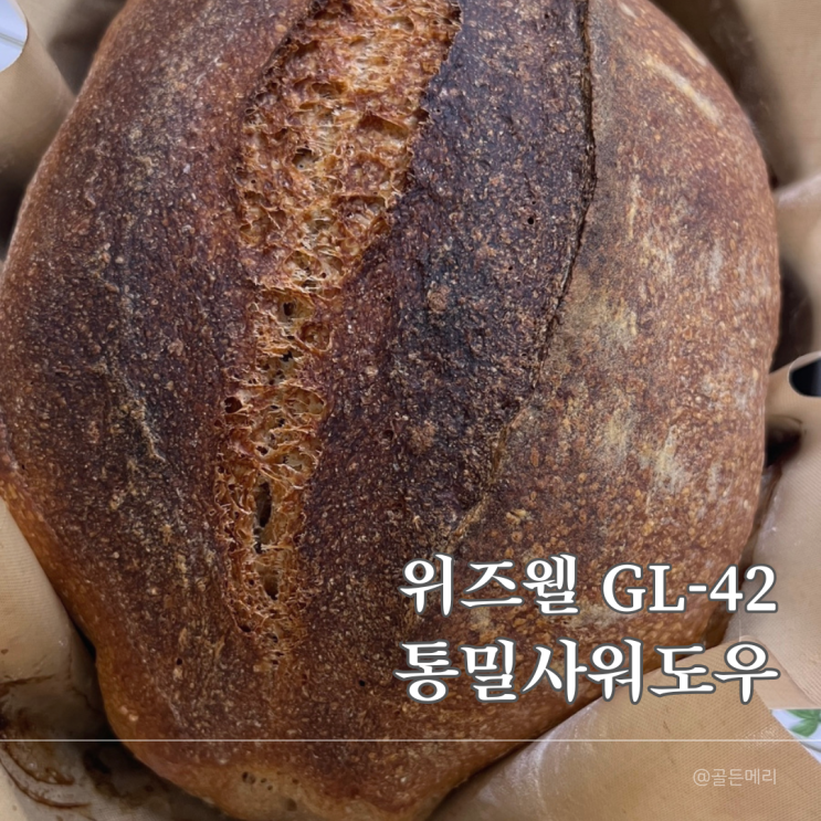  초보도 쉽게! 위즈웰 GL-42로 만드는 르방 통밀사워도우