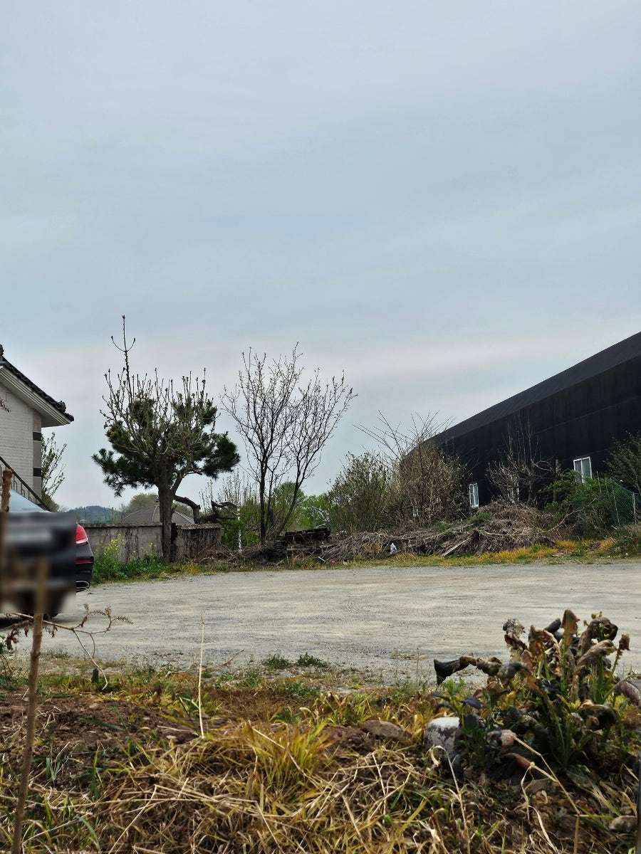 산오리집 사진 4