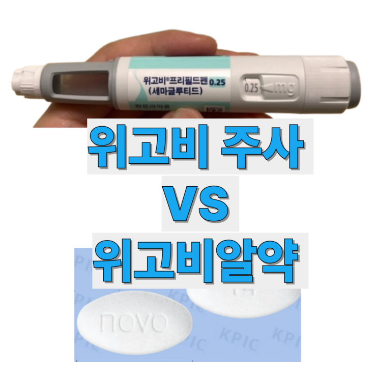  위고비 효능 위고비알약 주사 비교 총정리