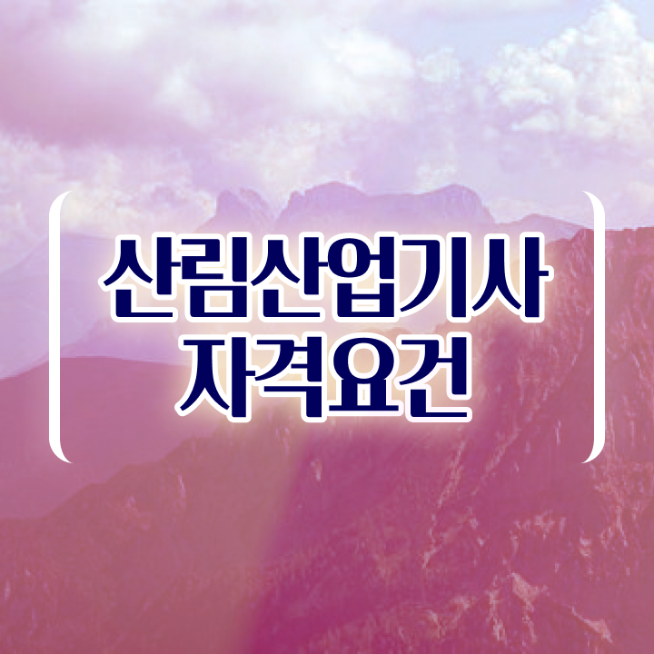  산림산업기사 학점은행제 산림산업기사 시험응시자격 독학으로 단기간에 끝낸 방법