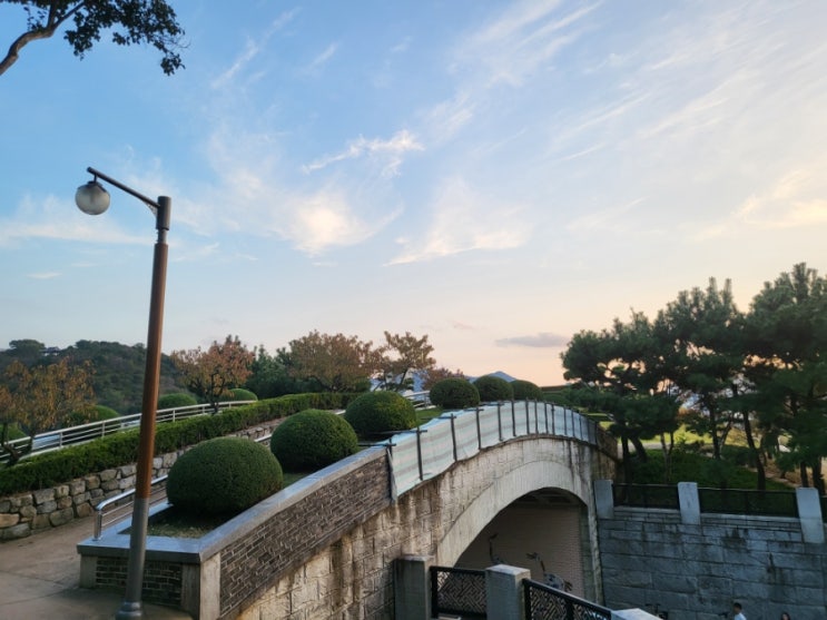  [회사생활] 경력의 본질
