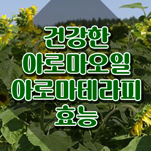  아로마뷰티diy지도사 클래스 , 자격증 1달 만에 합격한 비법 및 구직정보