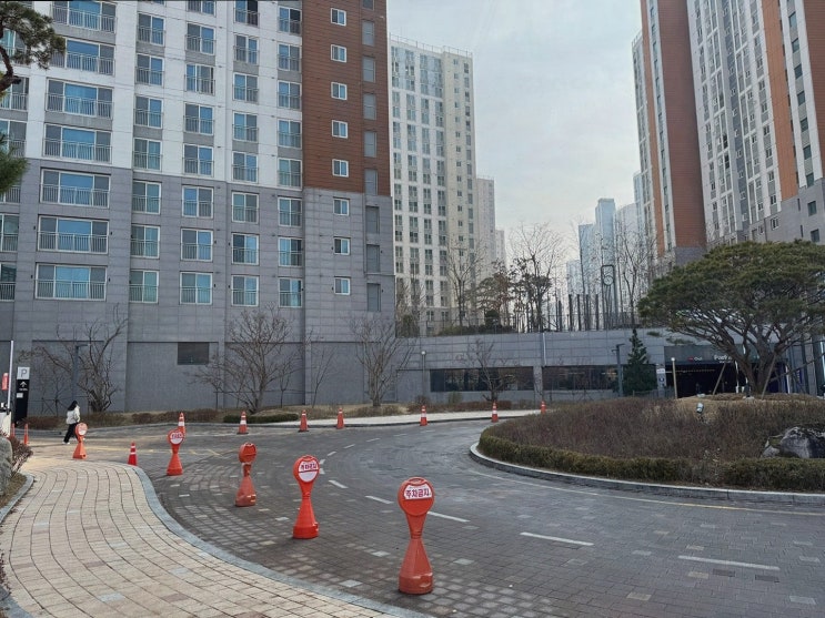  휴대폰성지 호랑폰 동탄산척점, 자녀의 동탄휴대폰을 교체하며 만족한 하루