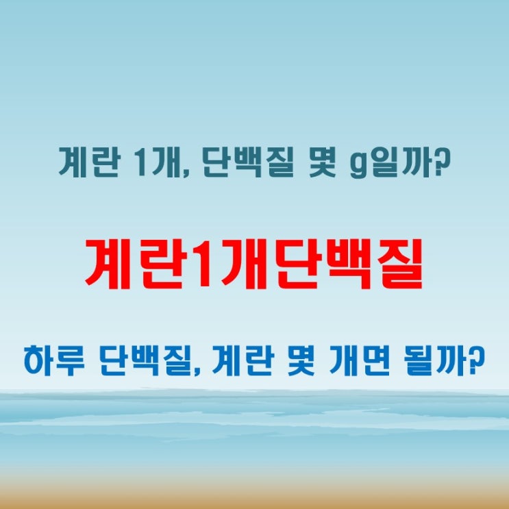  계란1개단백질 체크해두면 식단 짤 때 유용해요