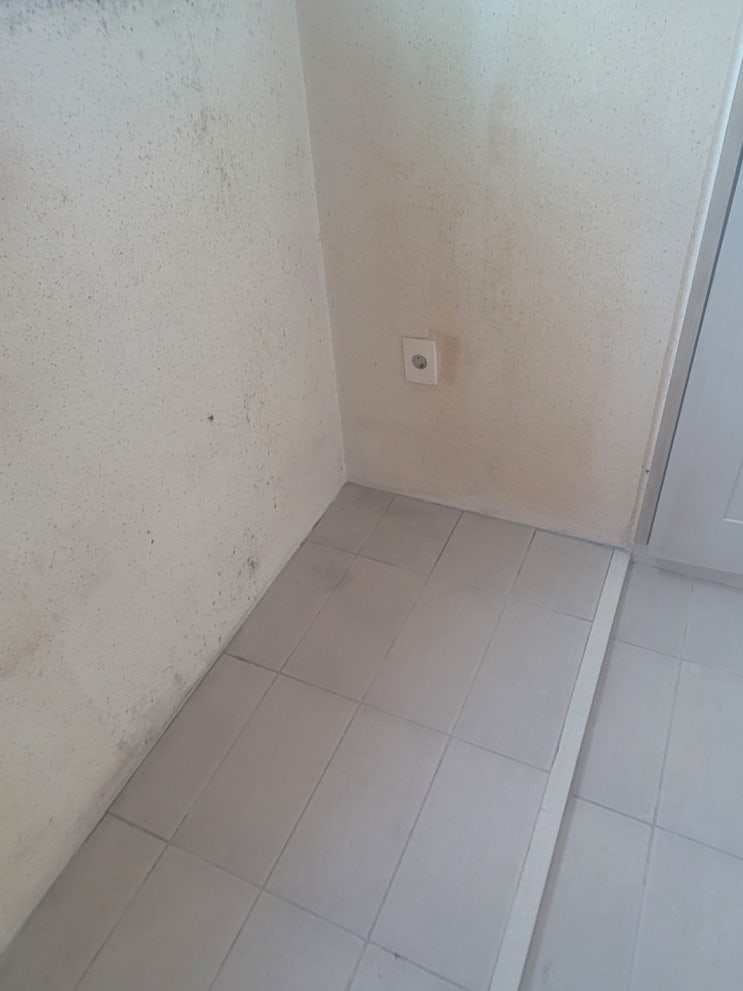 ( 충남 탄성코트 ) 아산테크노밸리 이지더원1차 아파트 베란다 곰팡이 탄성코트 시공후기
