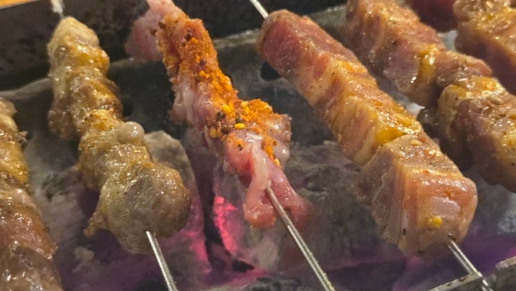  [광명 철산] 호우양꼬치 철산점 - 철산역 상업 지구 안에 있는 양꼬치 맛집, 신선한 양고기 꼬치를 맛볼 수 있는 철산 상업 지구 맛집
