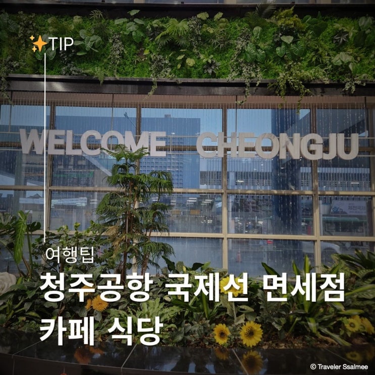  청주국제공항 둘러보기 국제선 면세점 시간 카페 식당 약국