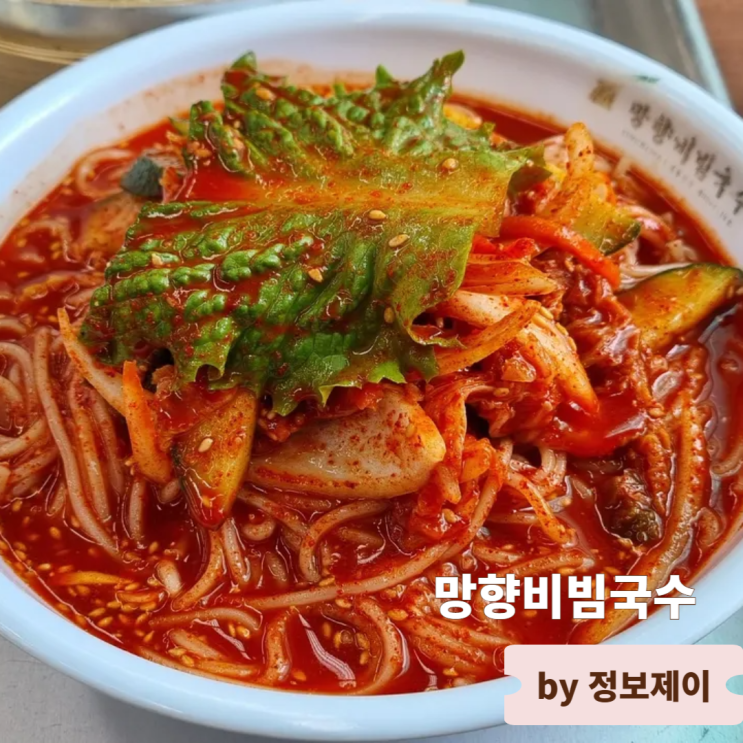  애견동반 가능 연천맛집 망향비빔국수 본점 메뉴 및 가격 주차장 정보