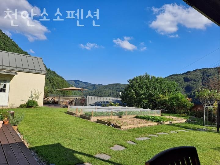 사진 2