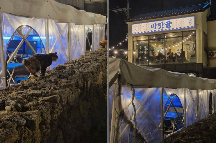  최고의 해산물 맛집, 함덕해수욕장횟집 바닷골에서의 특별한 순간