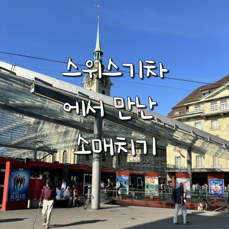  스위스 기차에서 만난 소매치기! 인터라켄 가는 길에 벌어진 일