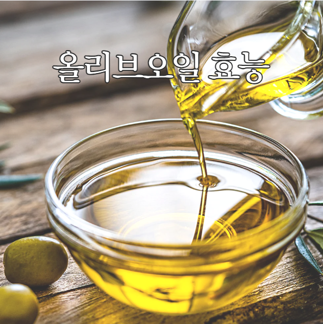  올리브오일 효능 매일 올리브오일 한스푼 건강 지키는 법