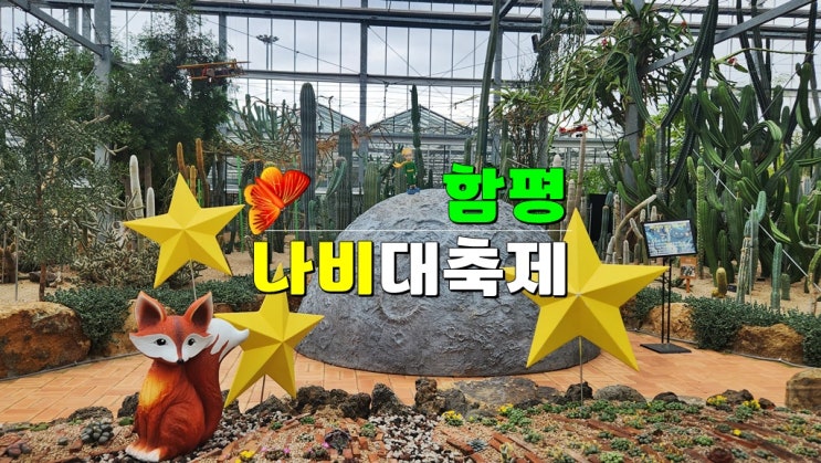 전남 4월 5월 축제 가볼만한곳 · 2025 함평나비대축제 기본정보 초대가수 라인업 일정 입장료 예매 전남 4월 5월 축제 가볼만한곳 · 2025 함평나비대축제 기본정보 초대가수 라인업 일정 입장료 예매