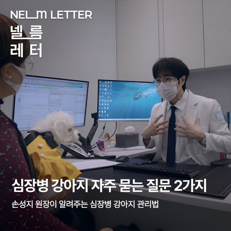  [NEL:톡톡] 심장병 강아지, 이렇게 돌보세요(with 손성지 원장)