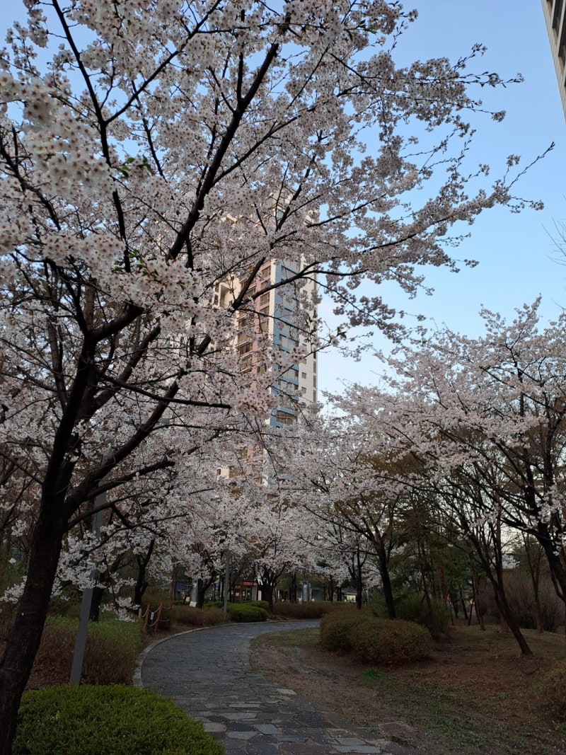 정책지식 2025.4.14. : 네이버 블로그