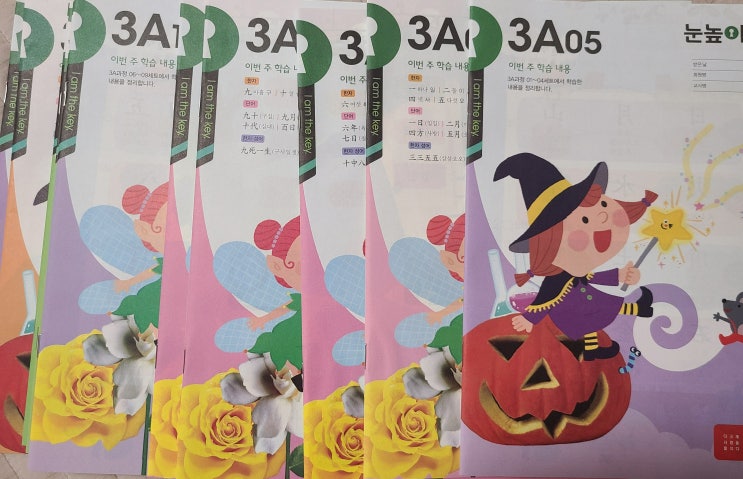  눈높이 한자 단계별 배우는 한자 (눈높이 한자를 꾸준히 3~4년 했을 때 배우는 한자 수준)