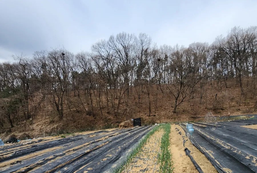 한솥도시락 곤지암점 사진 2
