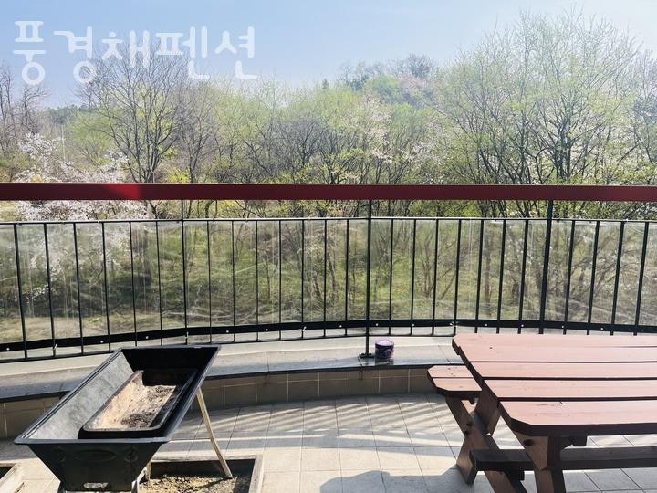 사진 2