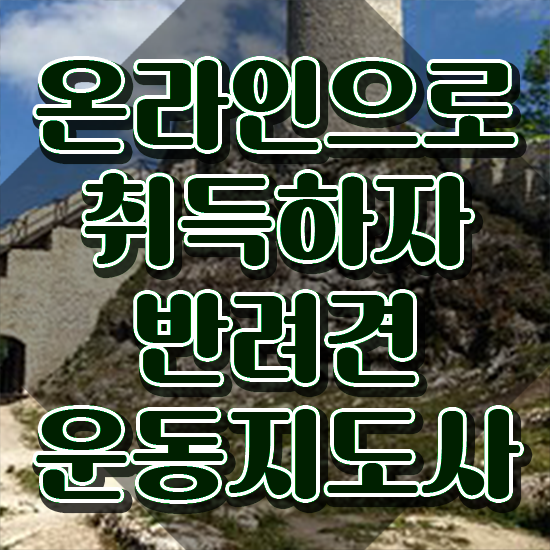  압구정 타로 , 타로상담전문가 타로상담전문가자격증 취득방법 및 향후 전망