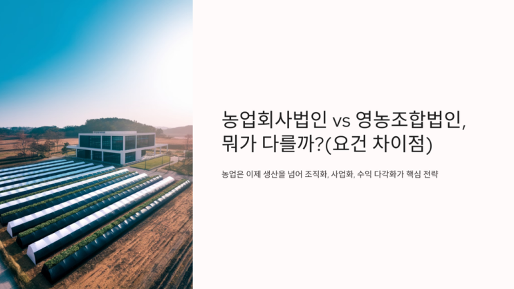  농업회사법인 vs 영농조합법인, 뭐가 다를까?(+요건 차이점)