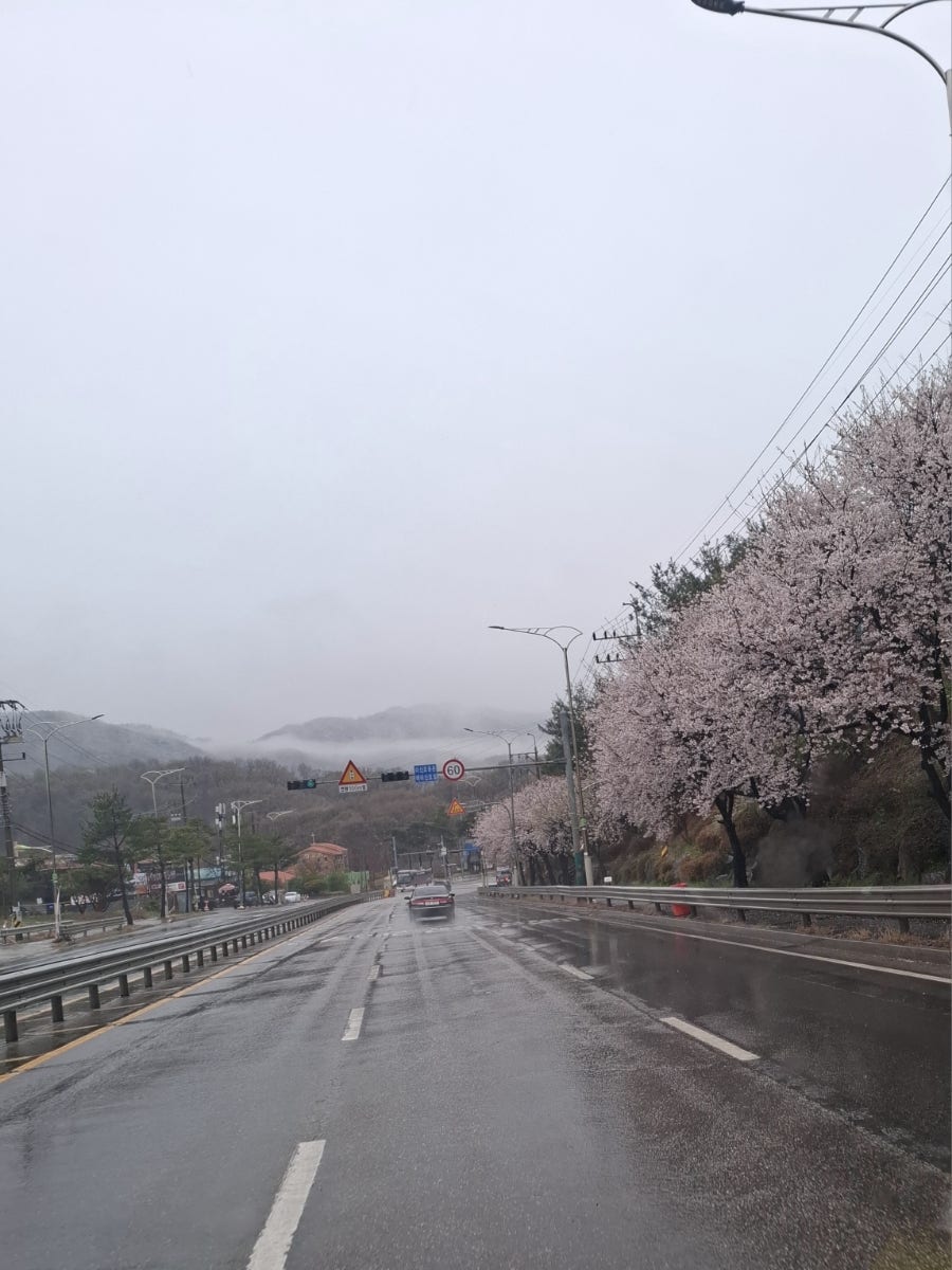 아도니스펜션 사진 2