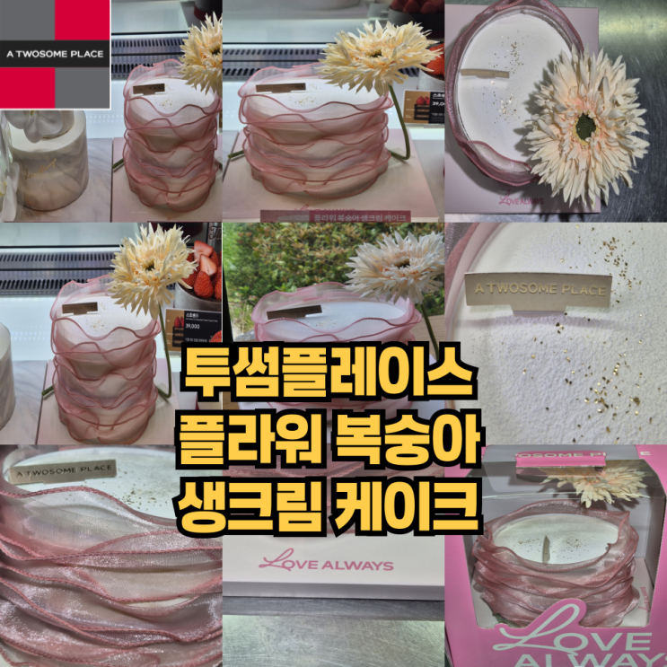  투썸플레이스 플라워복숭아생크림케이크 신제품 추천