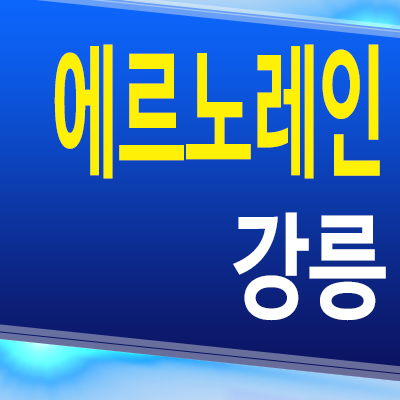  에르노레인 강릉 홍제동 펜트하우스 유천지구 도시형생활주택 분양모델하우스 정보