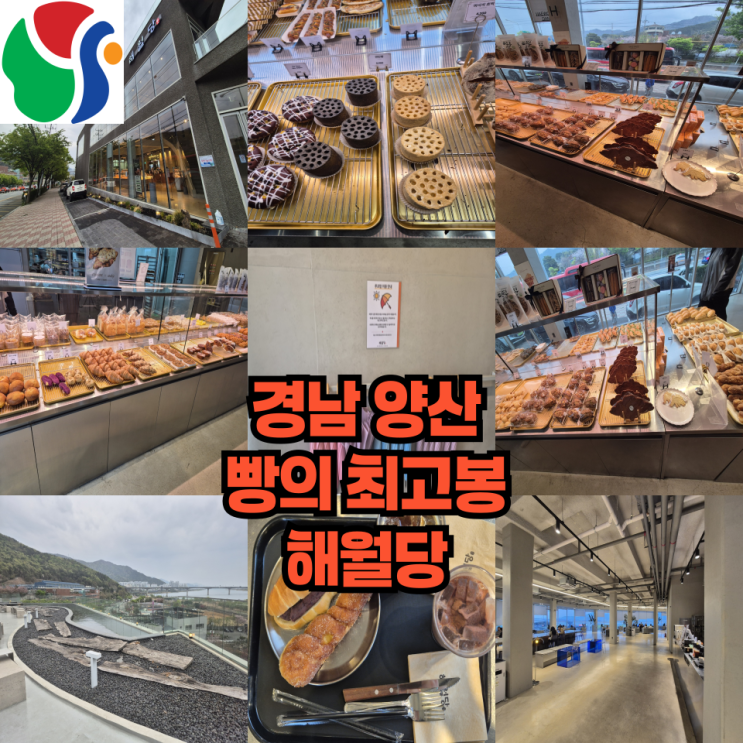  빵집인데 드라이브 스루가 있다? 경남 양산 빵의 성지 해월당 호포점
