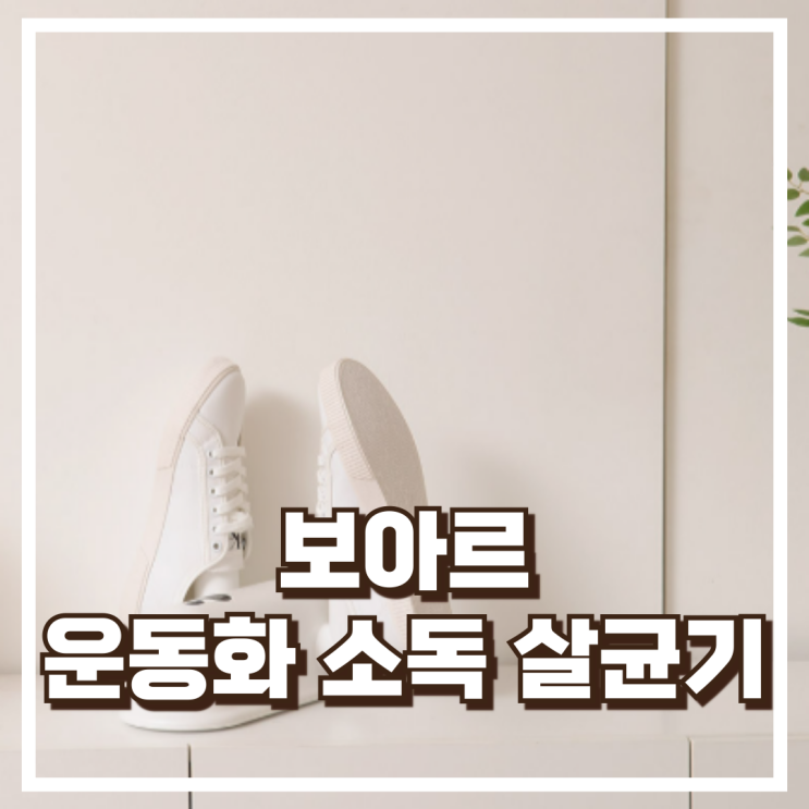  보아르 슈즈쏙 신발 건조기 VET-127WH 리뷰, 혜택가