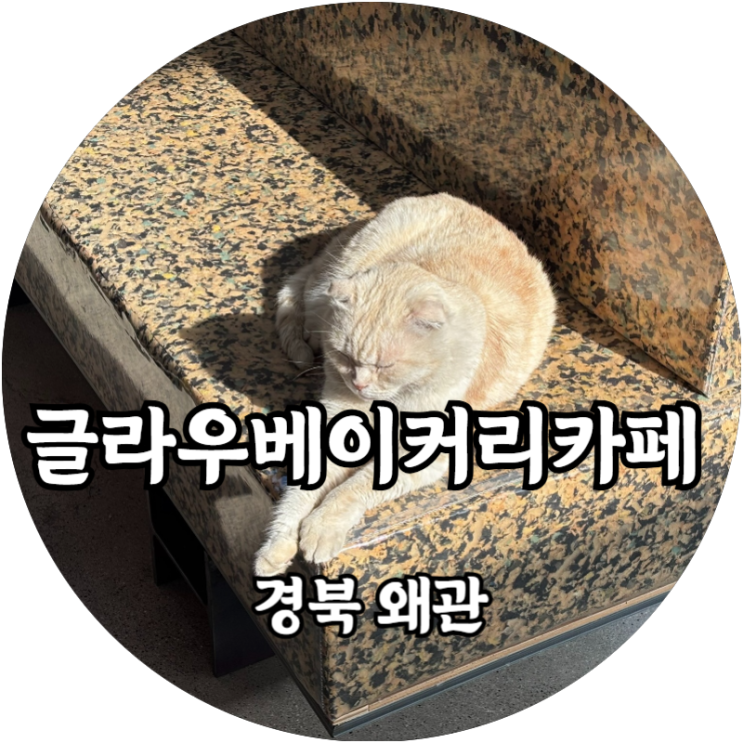  감성 가득한 왜관 베이커리 카페 '글라우' 고양이와 커피 한 잔의 여유