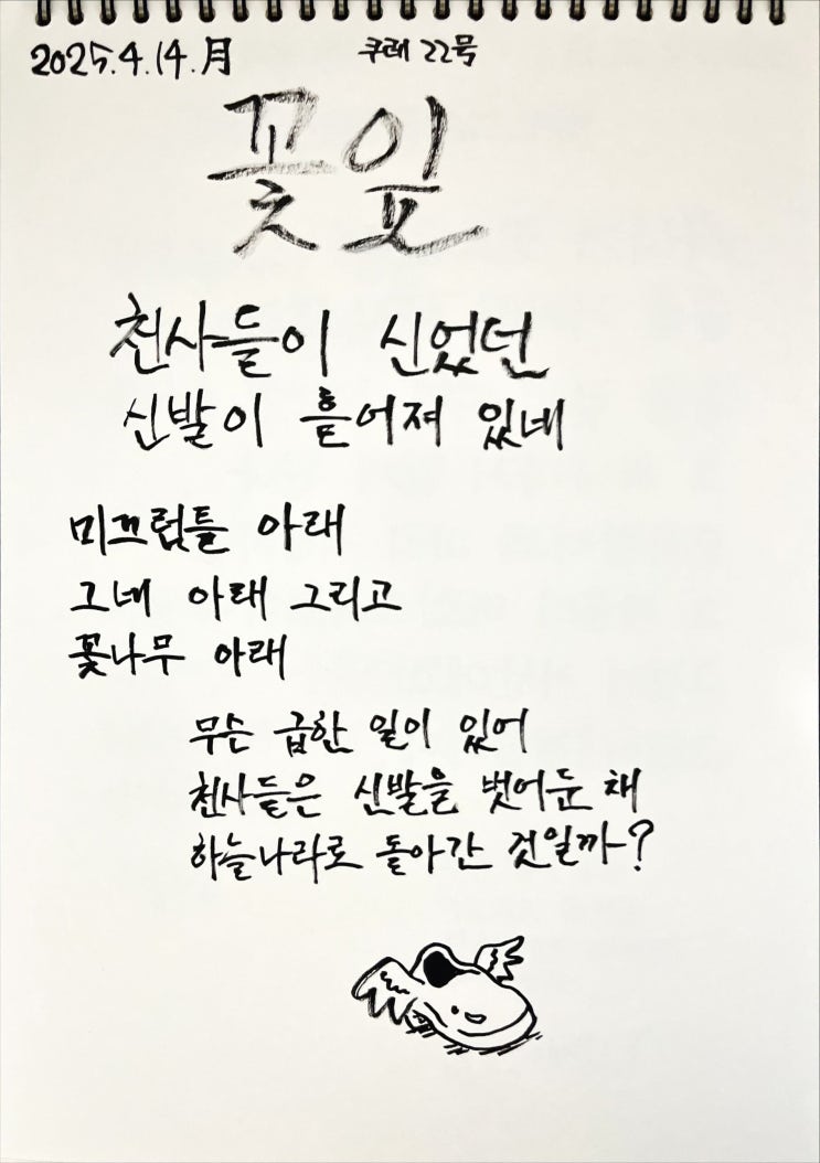  [필사] 꽃잎-나태주