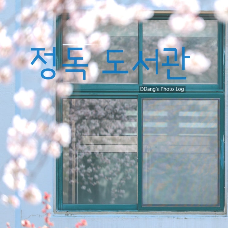  정독도서관, 서울 도심 속 봄 벚꽃 명소부터 사계절 풍경까지 한 곳에서 즐기는 힐링 스팟