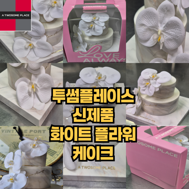  투썸플레이스 25년 4월 신제품 꽃이 올라간 화이트플라워케이크