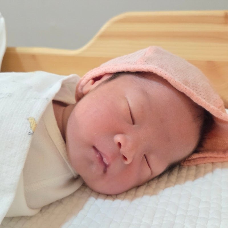 시흥 라임산후조리원 후기 /배곧 산후조리원