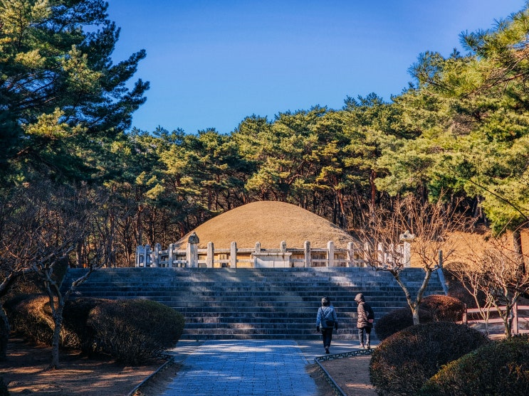  경주 역사 투어, 무열왕릉(김춘추)과 김유신장군묘(김인문묘, 벚꽃길)