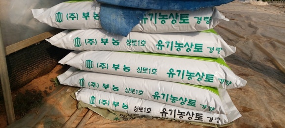  유기농 상토/새청무 종자