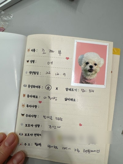 사진 6