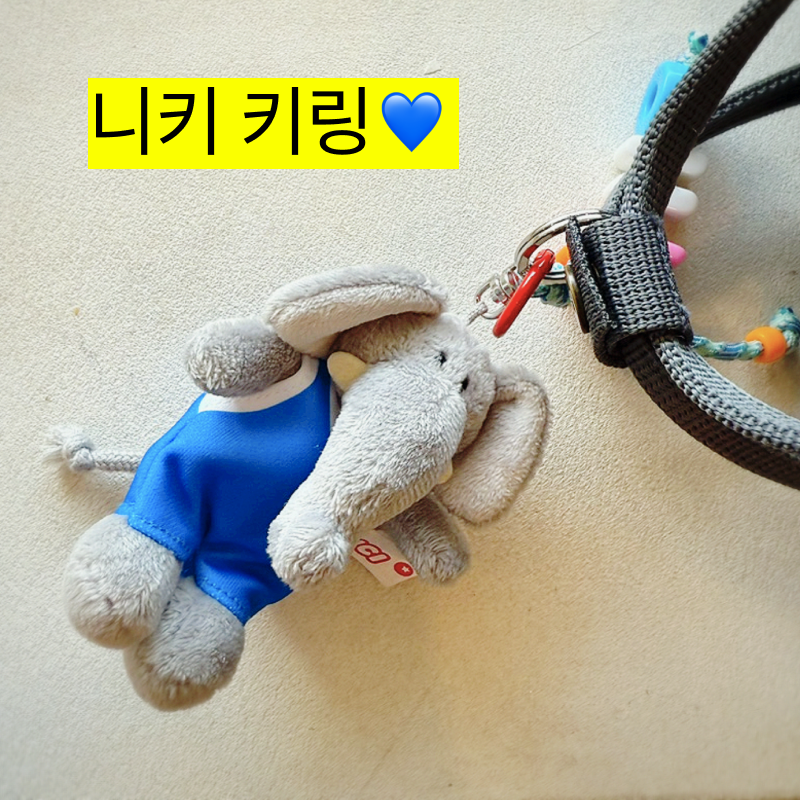 대만 니키 키링 가격,네이버에서 구매 (타이베이,오사카,선물 추천)