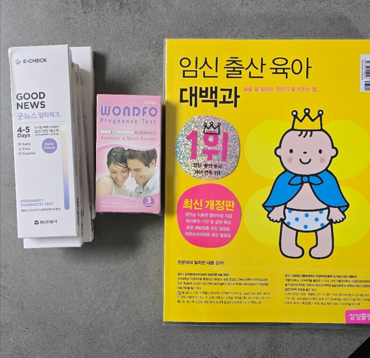  아내가 임신을 한 것 같다 2