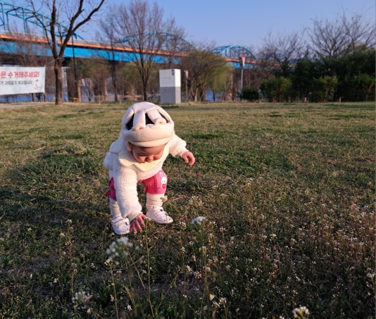 집보다 더 넓은 놀이터, 한강 둔치에서 링링이의 오후 산책 집보다 더 넓은 놀이터, 한강 둔치에서 링링이의 오후 산책