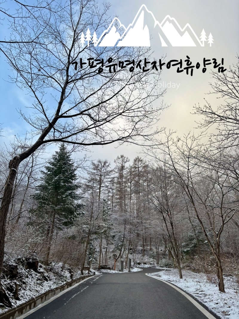 가평 유명산자연휴양림 연립동 숙소 보라매 숙박후기 +가평양떼목장 가평1박2일여행