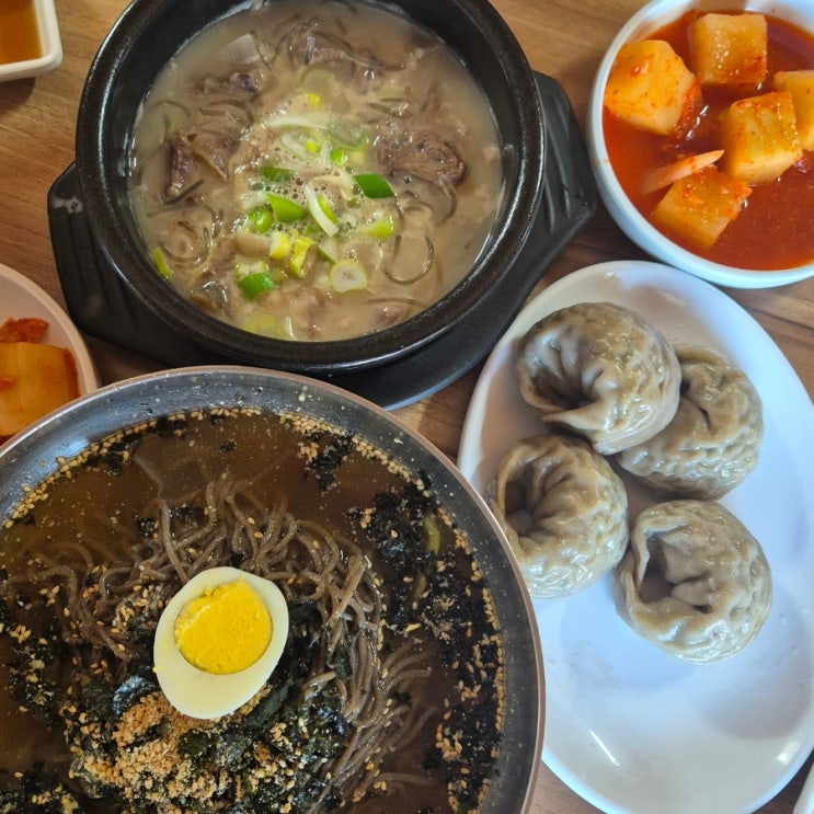  서산 해미읍성맛집 해미막국수-메밀막국수 메밀만두가 맛있는 한서대맛집 후기