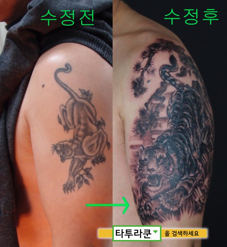  팔의 흑표범문신(올드스쿨 블랙팬더)을 호랑이로 커버업 타투하고 가신 분입니다.[홍대 타투라쿤]-2016. 1. 11. 01:20