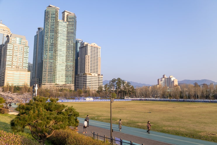  서울 산책하기 좋은 곳 보라매공원 주차 잔디