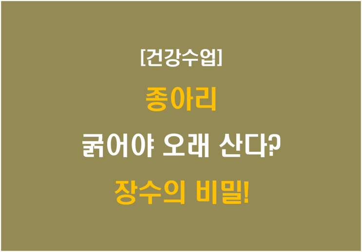  종아리, 굵어야 오래 산다? 장수의 비밀!
