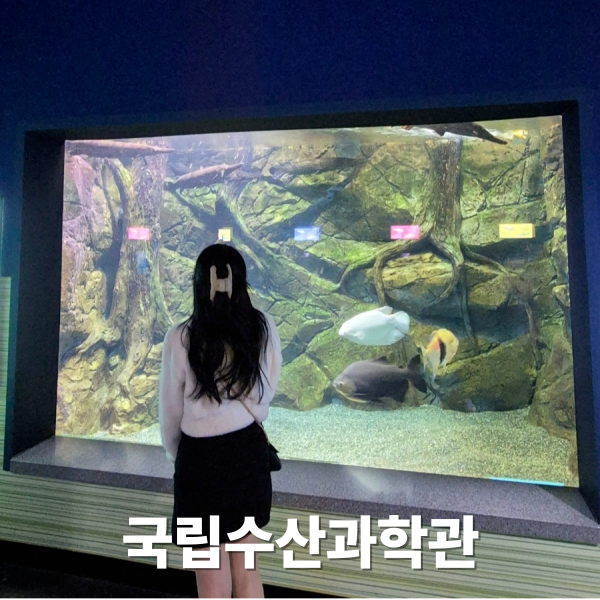  아이랑 가볼만한 곳 추천 부산 기장 국립수산과학관 체험리뷰